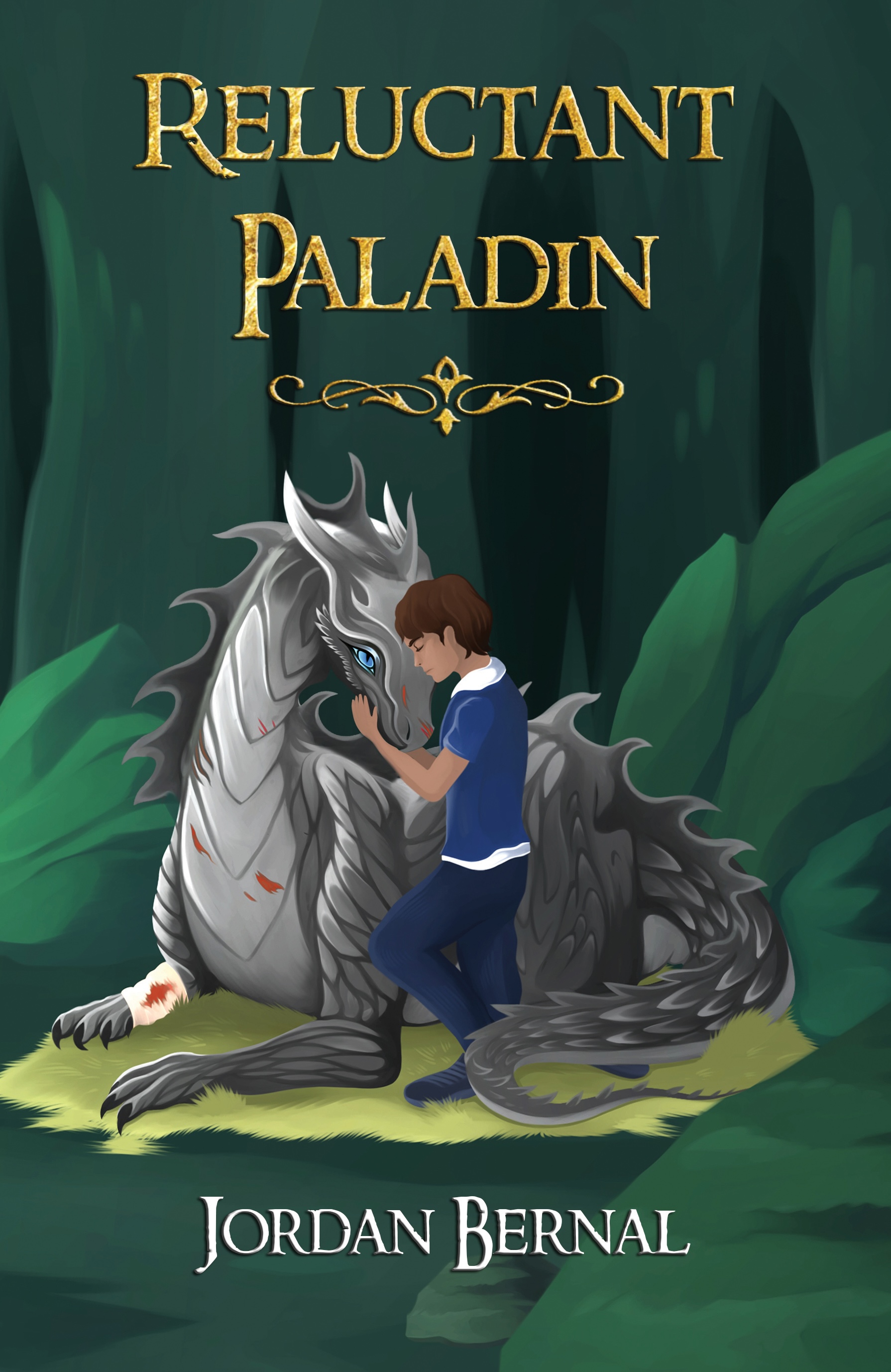 Reluctant Paladin