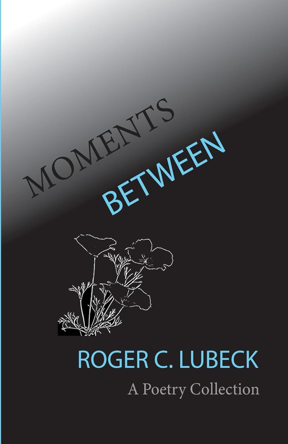 Moments Between: A Poetry Collection