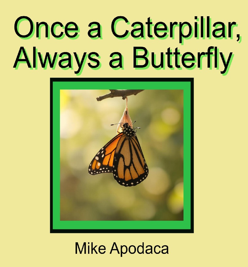 Once a Caterpillar, Always a Butterfly